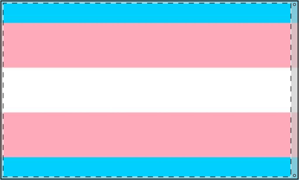 Transgender Pride Double - Sided Flag - Celebrate Inclusivity and Diversity - EqualiTees.Me
