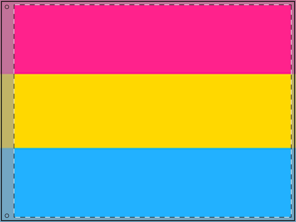 Vibrant Double Sided Pansexual Pride Flag - Perfect for Celebrations & Events - EqualiTees.Me
